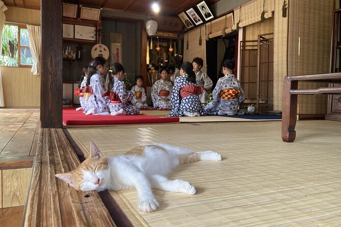 A Traditional Tatami Room Dance by Sumiyoshi Shachu Kagoshima - Good To Know
