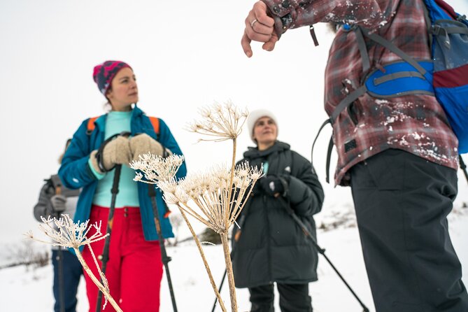 Advanced Snowshoeing Adventure - Good To Know