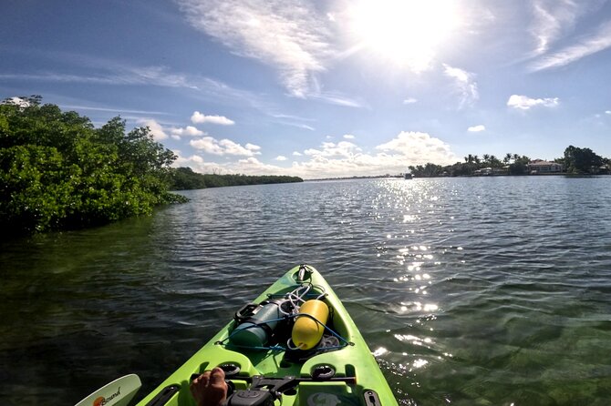 Adventure and Wildlife Watch Kayak Rentals in Sarasota - Good To Know