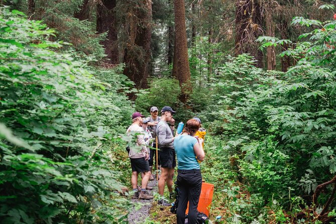 Adventure Hike | ALASKAN WILDERNESS TRAIL - Good To Know