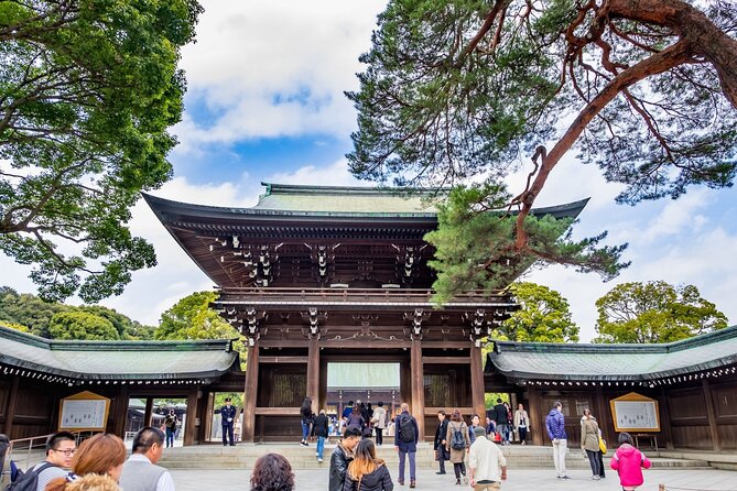 Afternoon Small Group Tour in Tokyo - Good To Know