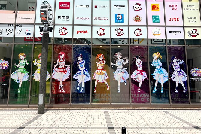 Akihabara Half Day Walking Tour With Otaku Licensed Guide - Good To Know