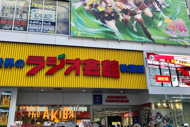 Akihabara Private Custom Tour With Pickup - Good To Know
