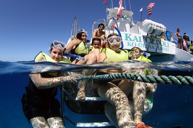 All-Inclusive Sunset Dolphin Watch and Snorkeling Cruise - Good To Know