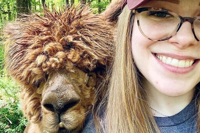 Alpaca and Llama Trek in Pleasant Valley - Good To Know