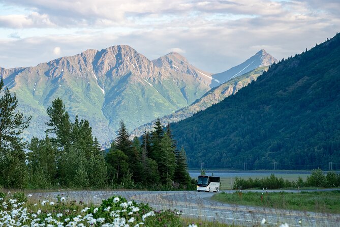 Anchorage to Seward Wildlife Adventure - Good To Know