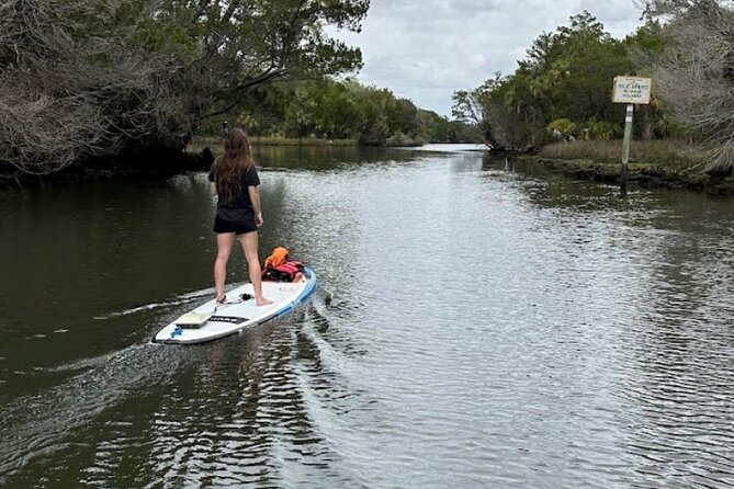 Backland Alligator Electric Paddle Tour - Good To Know