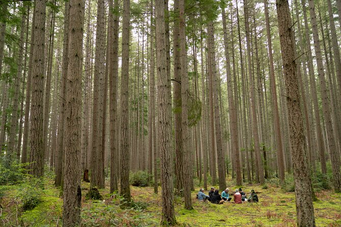 Bainbridge Island Serenity Forest Hike & Cultural Landmarks Tour - Good To Know