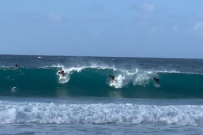 Beaches, Food & Aloha: Private Oahu Tour for up to 14 People - Good To Know