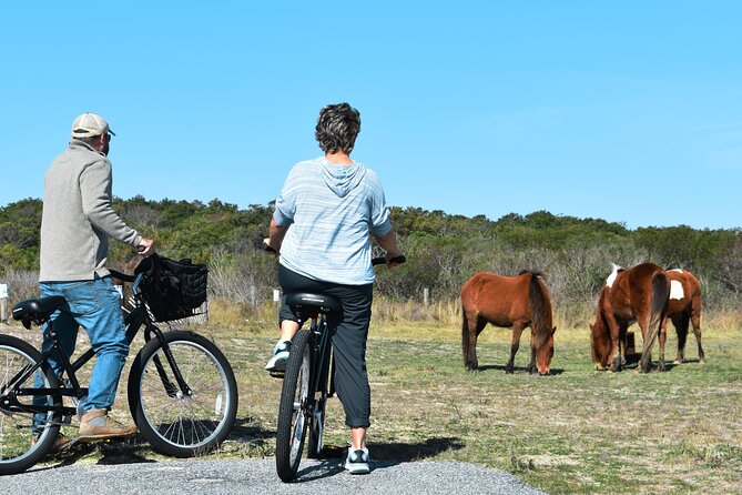 Bicycle Rental From Visitor Center Location at Assateague, MD - Good To Know