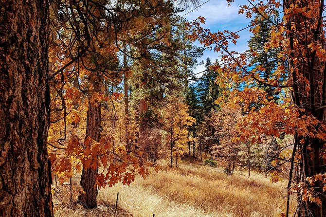 Big Bear Fall Colors Hiking Tour in Southern California - Good To Know
