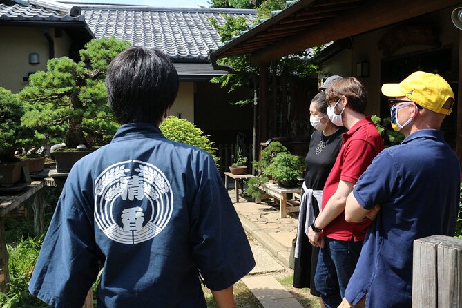 Bonsai Culture Experience for Novices in Tokyo