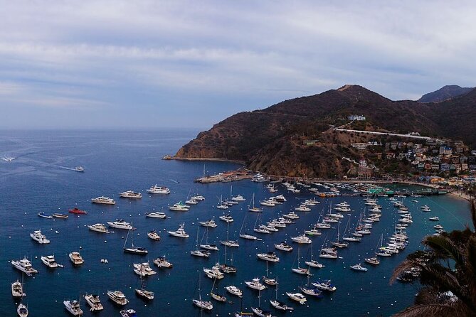 Catalina Island Ferry Avalon to Newport Beach - Good To Know