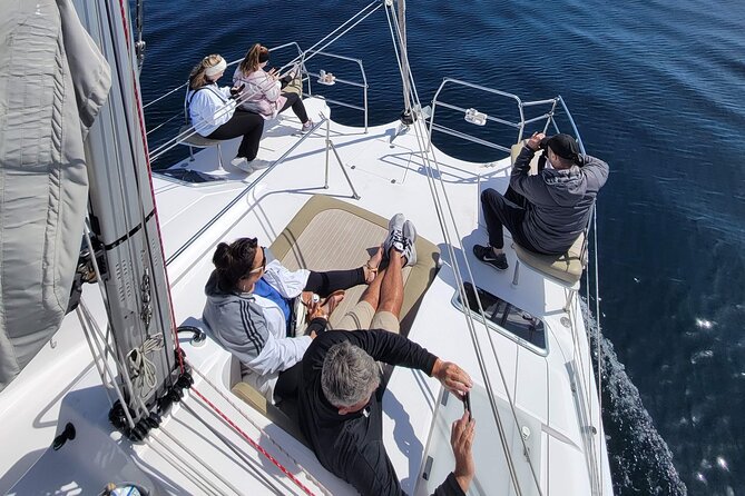 Catamaran Sailing Cruise in Monterey - Good To Know
