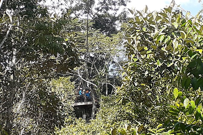 Cave Kayaking or Tubing, Ziplines and Altun Ha V.I.V. - Good To Know