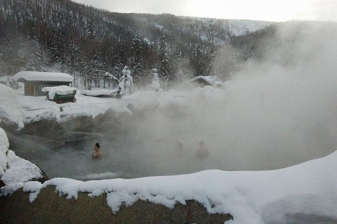 Chena Hot Springs Aurora Tour - Good To Know