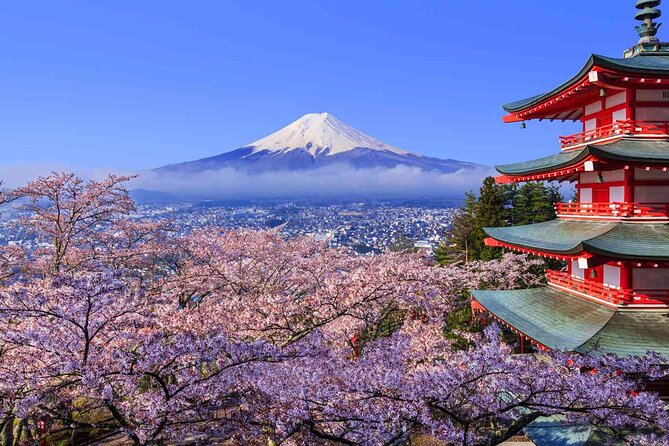 Cherry Blossom Mount Fuji Customizable Luxury Vehicle Guided Tour - Good To Know
