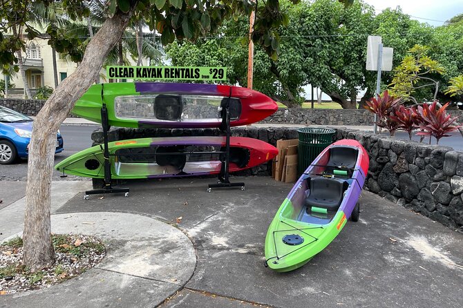 Clear Bottom Kayak Rentals in Kailua-Kona - Good To Know