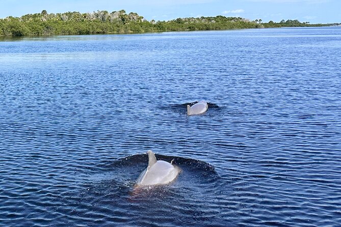 Coastal Discovery Cruise - Good To Know