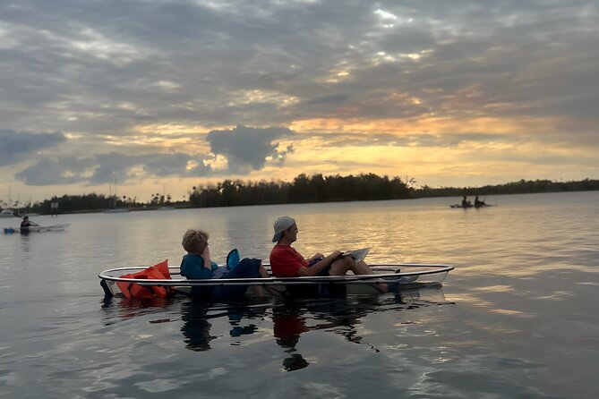 Crystal River Sunset and Glow Clear Kayak Manatee Tour - Good To Know