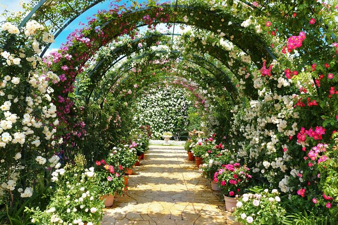 Day Trip Ashikaga Flower Park by Private Car From Tokyo - Good To Know