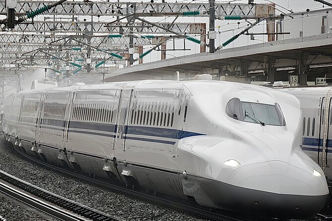 Day Trip Osaka From Tokyo With a Guide by Bullet Train - Good To Know