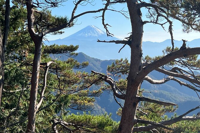Day Trip Shosen Valley From Tokyo - Good To Know