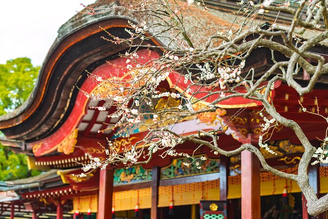 Dazaifu Bungo Mori Roundhouse Beppu Yufuin Private Tour - Good To Know