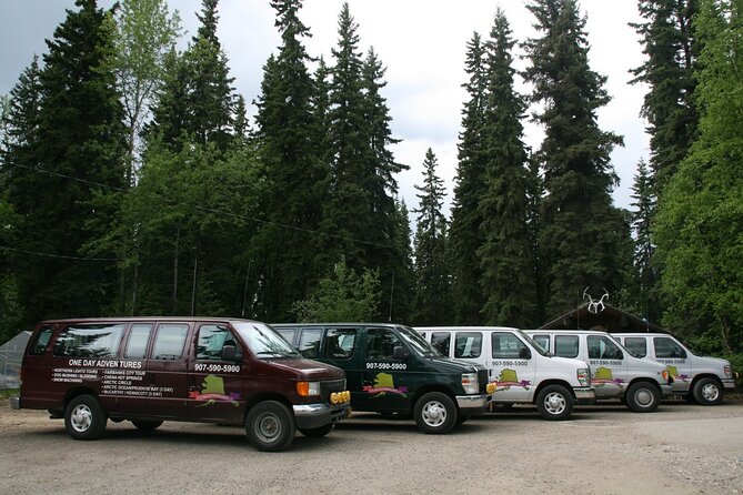Denali to Fairbanks Shuttle Service - Good To Know