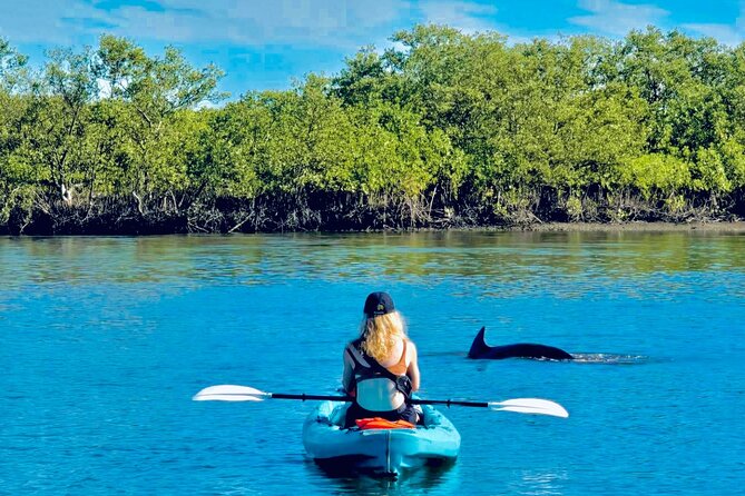 Dolphin, Manatee and Sea Turtle Kayak Adventure - Good To Know