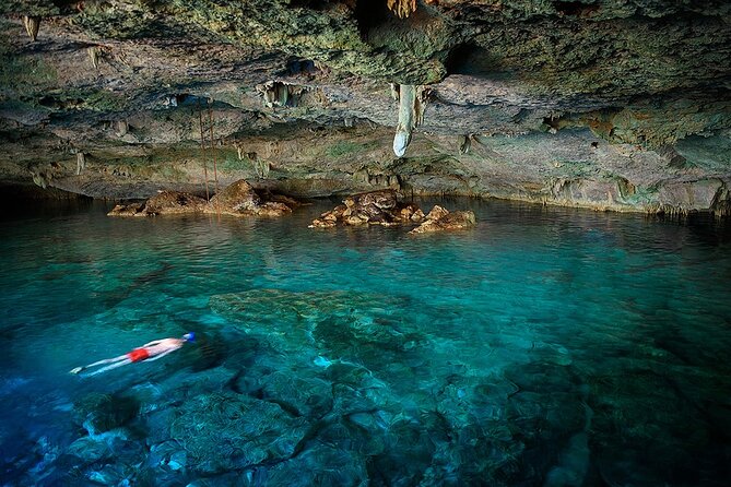 Dolphin, Sea Cave, Captain Cook, Kealakekua Bay Reef Snorkeling - Good To Know