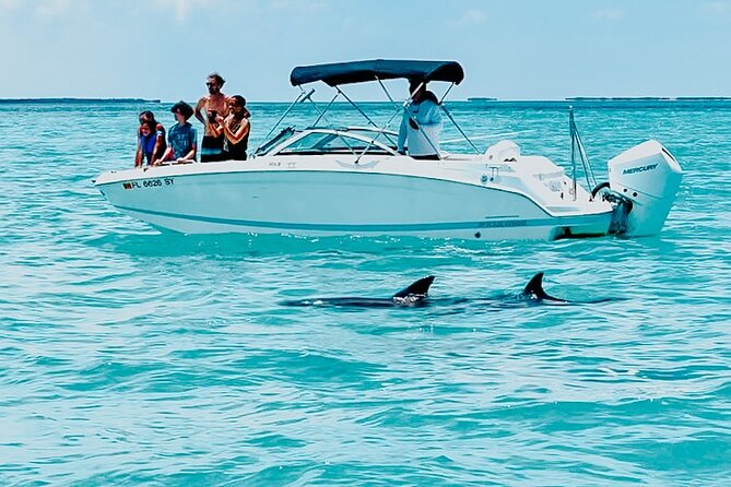 Dolphin Snorkel & Sandbar - Good To Know