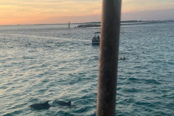 Dolphin & Sunset Cruises - Good To Know