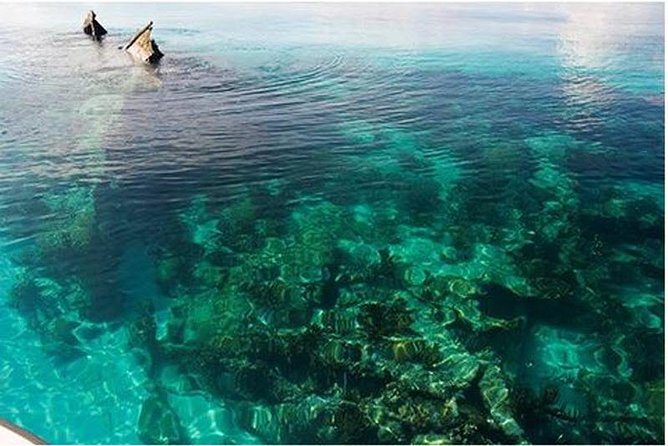 Dry Tortugas National Park Day Trip by Catamaran From Key West - Good To Know