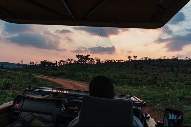Durban: Big 5 Luxury Safari at an Award Winning Game Reserve — Zeiss Binoculars - Good To Know
