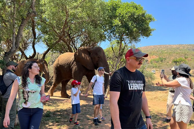 Elephant & Monkey Sanctuary Tour From Johannesburg - Good To Know