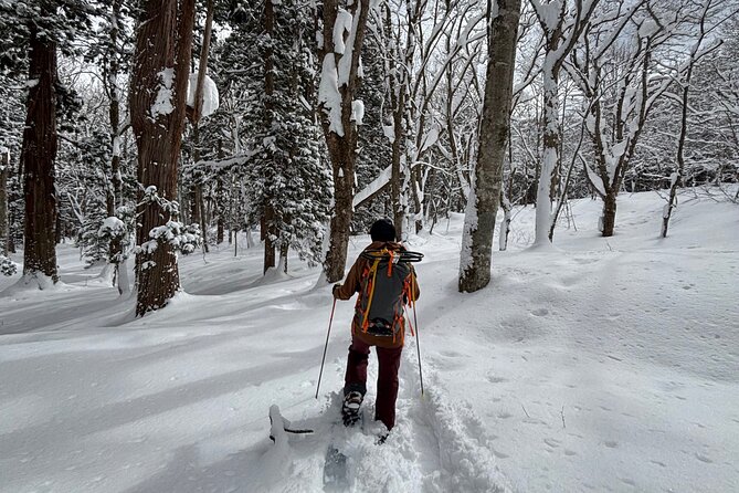 EN/CN Guided Snowshoeing and Snow Monkey Tour in Nagano - Good To Know