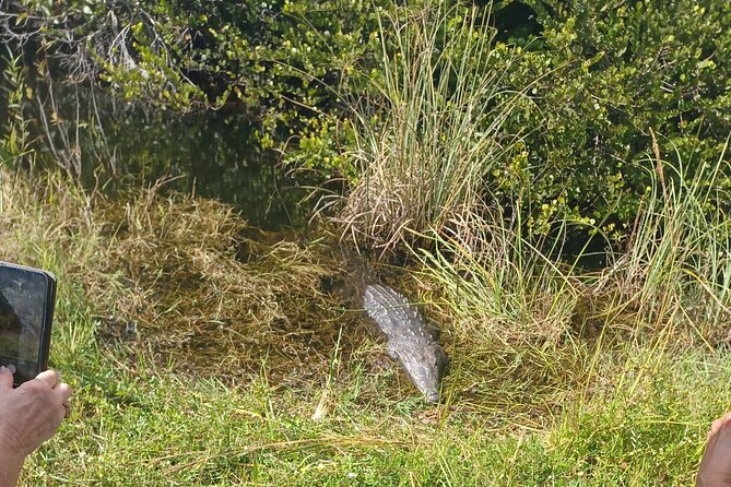 Everglades Eco Airboat Tour With Private Luxury Transportation - Good To Know