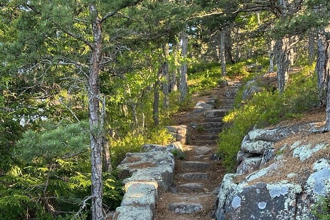 Experience Acadia: Private 3-Hr Tour With Local Guide. - Good To Know