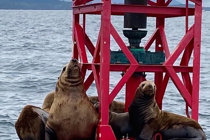 Experience Local Marine Wildlife Tour - Good To Know