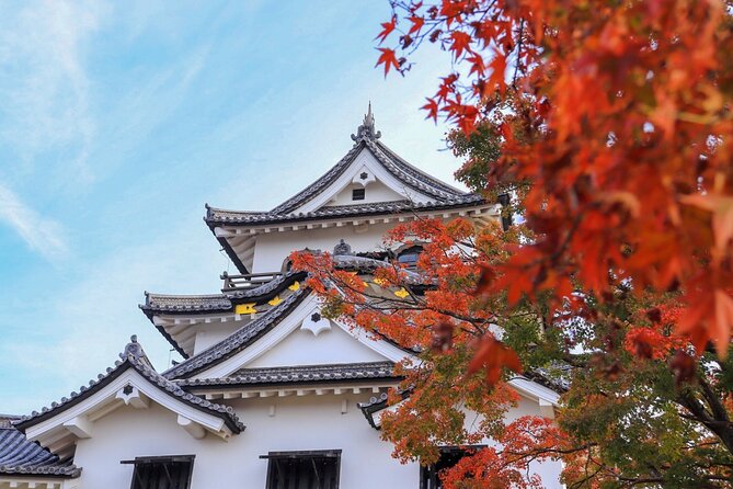 Explore the Historic Castle Town of Hikone From Osaka - Good To Know