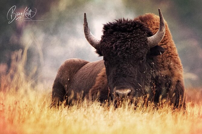 Flathead Lake & Bison Range Scenic Driving Tour - Good To Know