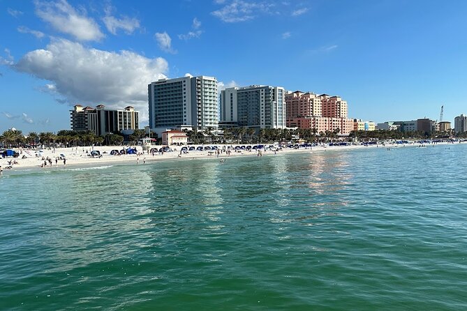 !! Flippers Fun Boat !! Dolphin Adventure Clearwater Beach! - Good To Know