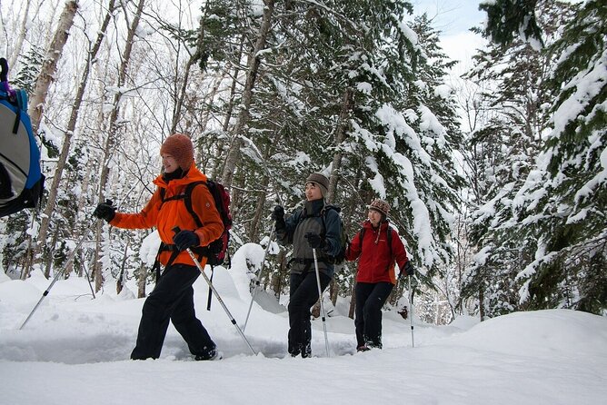 Forest Snowshoeing in White Birch and Blue River Course - Good To Know