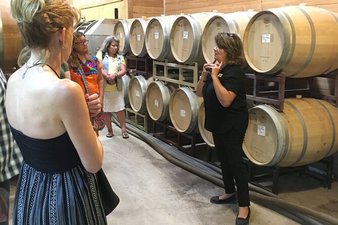 Fredericksburg Hill Country Aficionado Wine Tour From San Antonio - Good To Know
