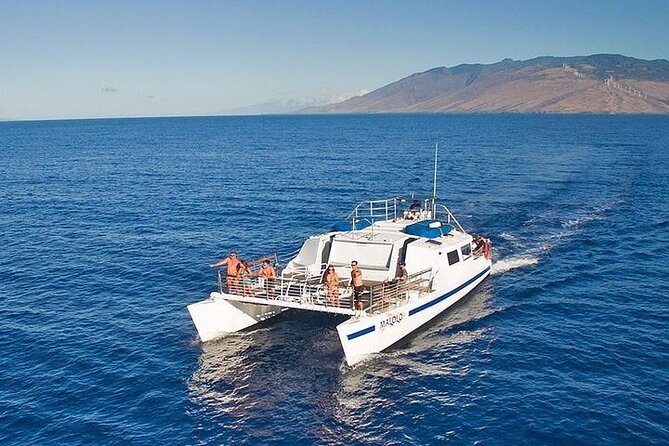 From Maalaea Harbor: Sunset Whale Watch Tour Aboard the Malolo - Good To Know