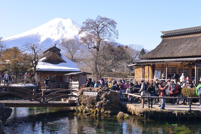 Fuji Sightseeing Tour (With English or Japanese Speaking Guide) - Good To Know