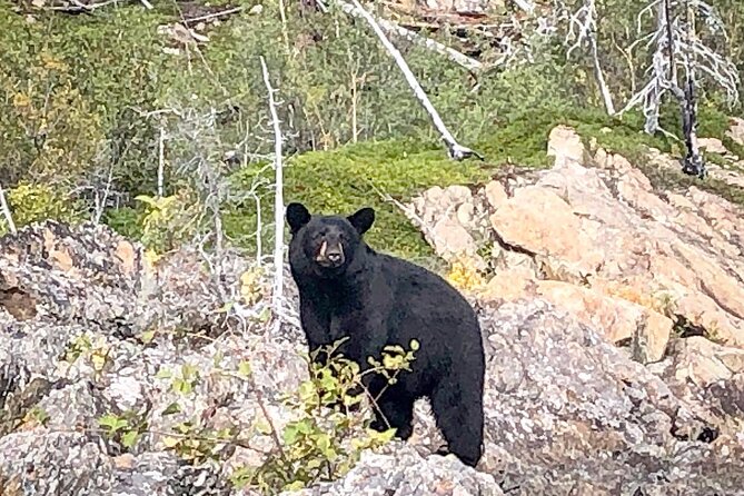 Full Day Canyon Fishing Trip - Good To Know