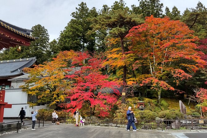 Full Day Nikko Private Tour With Certified Japanese Guide - Good To Know