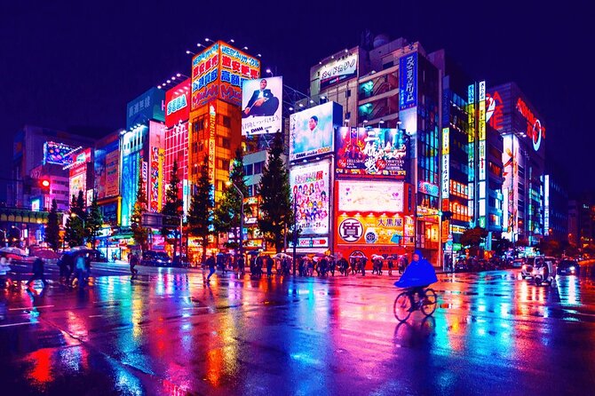 Full- Day Private Tokyo Tour With English -Speaking Guide - Good To Know